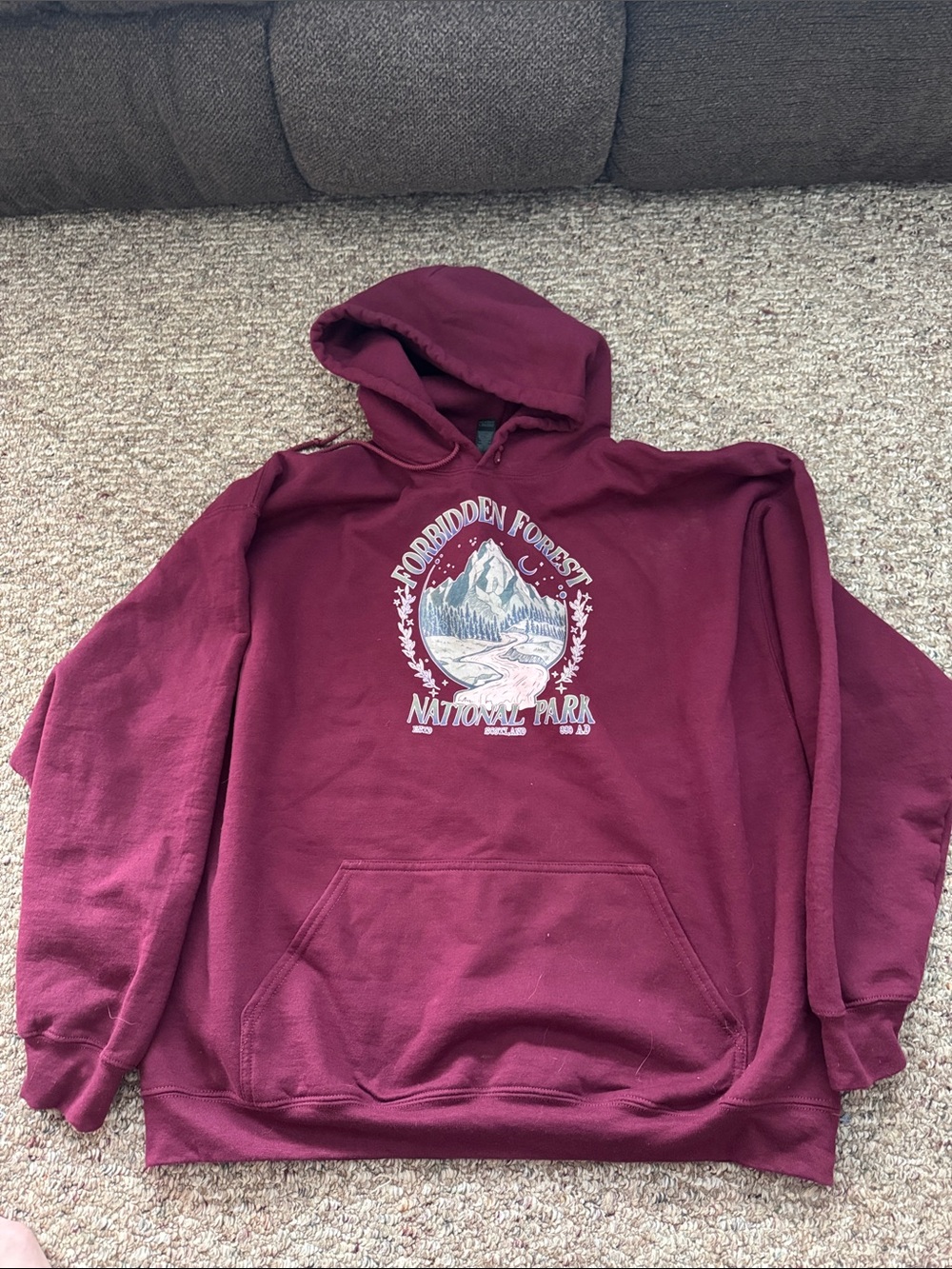 Gildan Burgundy Graphic Hooded Sweatshirt